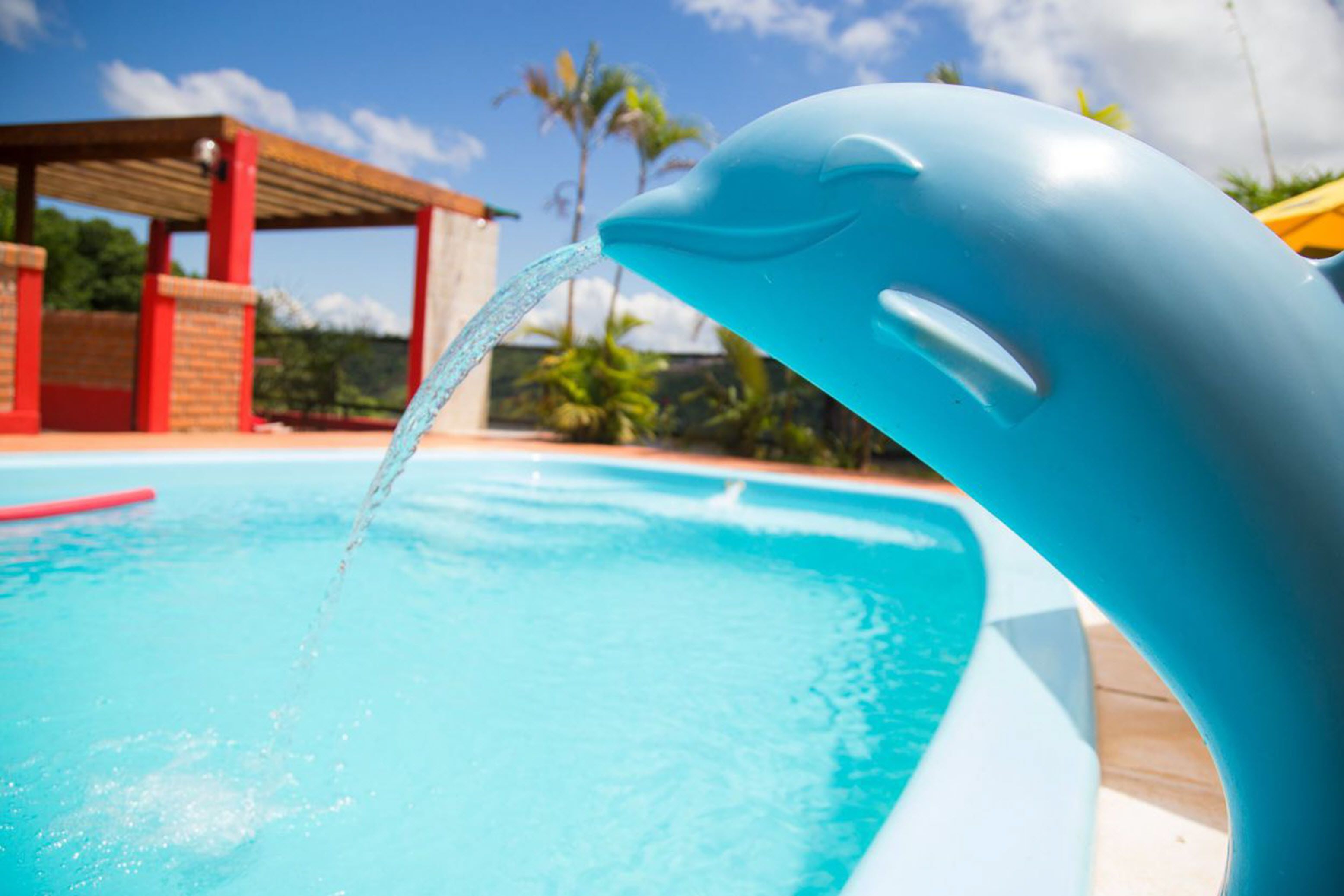 Outdoor pool, pool umbrellas, pool loungers