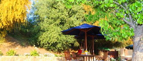 An outdoor patio with a table and chairs, a large umbrella, and a potted plant.