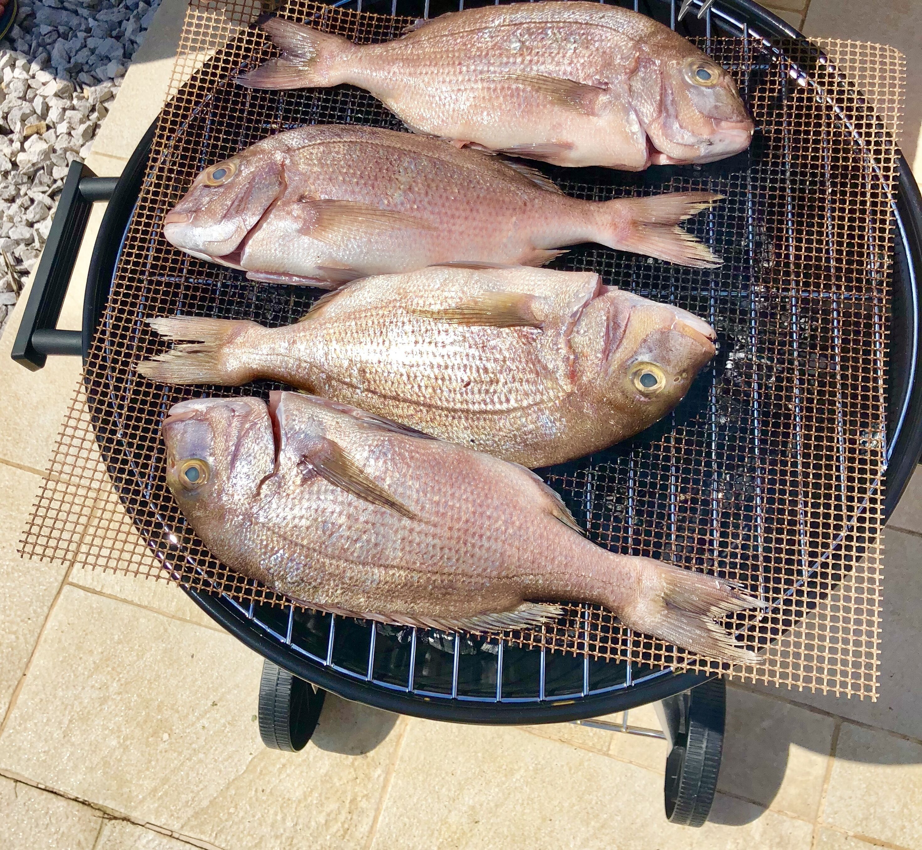 Three fish on a grill outdoors.