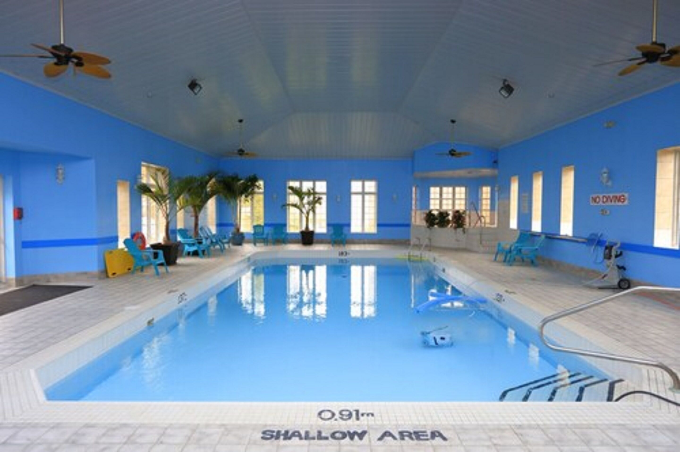 indoor pool, pool loungers