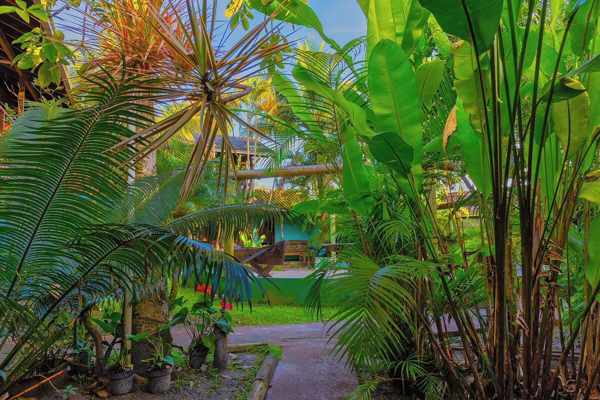 Um jardim exuberante com diversas plantas tropicais, uma estrutura de madeira e um caminho que leva a um edifício.