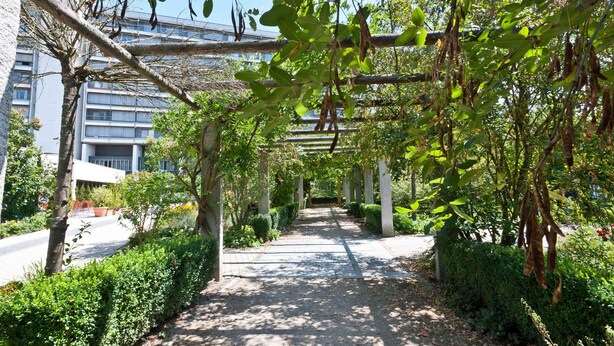 A pathway lined with greenery and a pergola structure. - Hotel Bildungsblick (Kirchseeon)