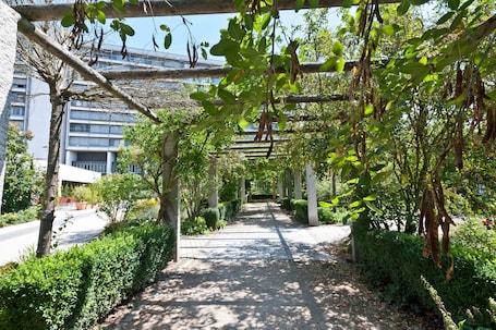 Bahçe