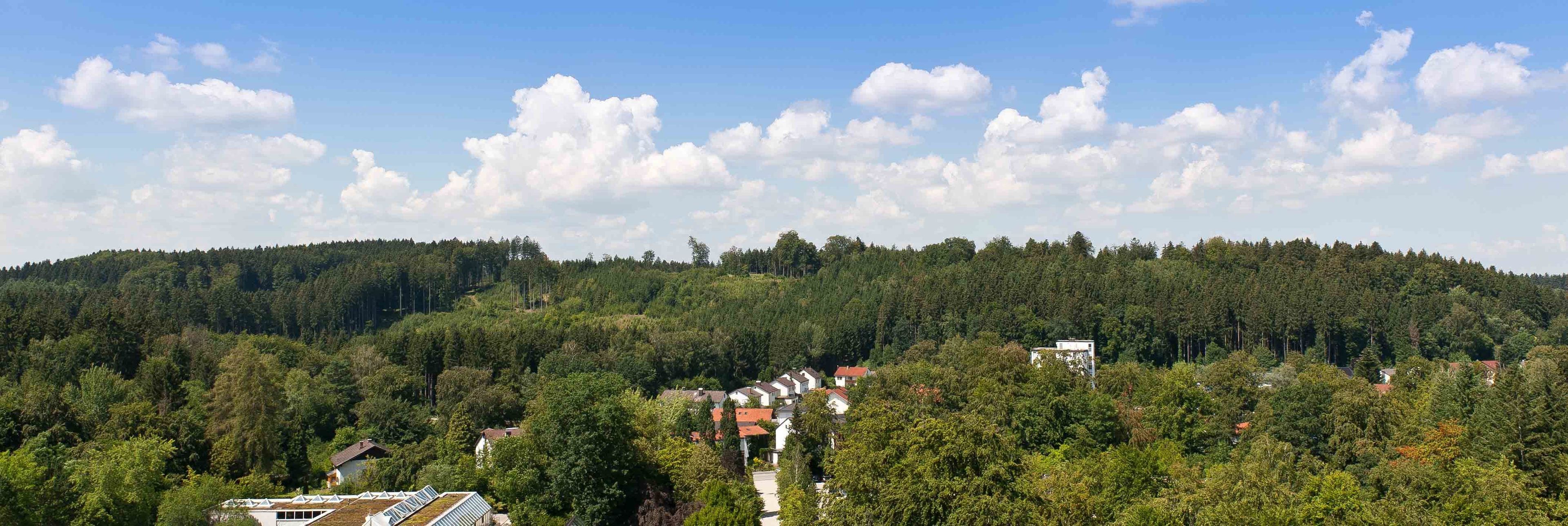 economy single room, non smoking | view from room