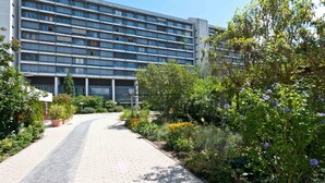 A multi-story building with a modern design, surrounded by a landscaped garden with various plants and flowers. - Hotel Bildungsblick (Kirchseeon)