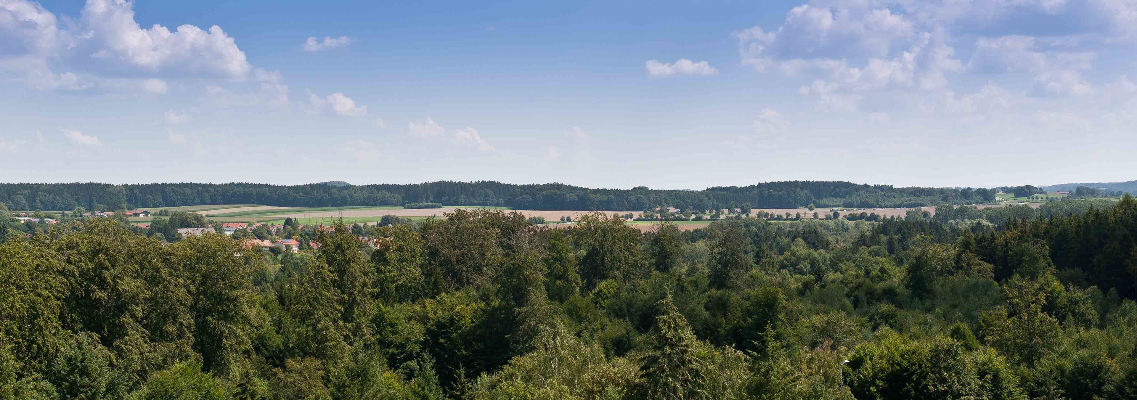 standard double room, non smoking | view from room