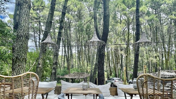 Un espacio al aire libre con sillas y mesas de mimbre, rodeado de árboles altos y vistas al bosque.