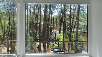 Vista desde la habitación