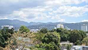 Paisaje urbano con montañas al fondo, edificios y árboles en primer plano.