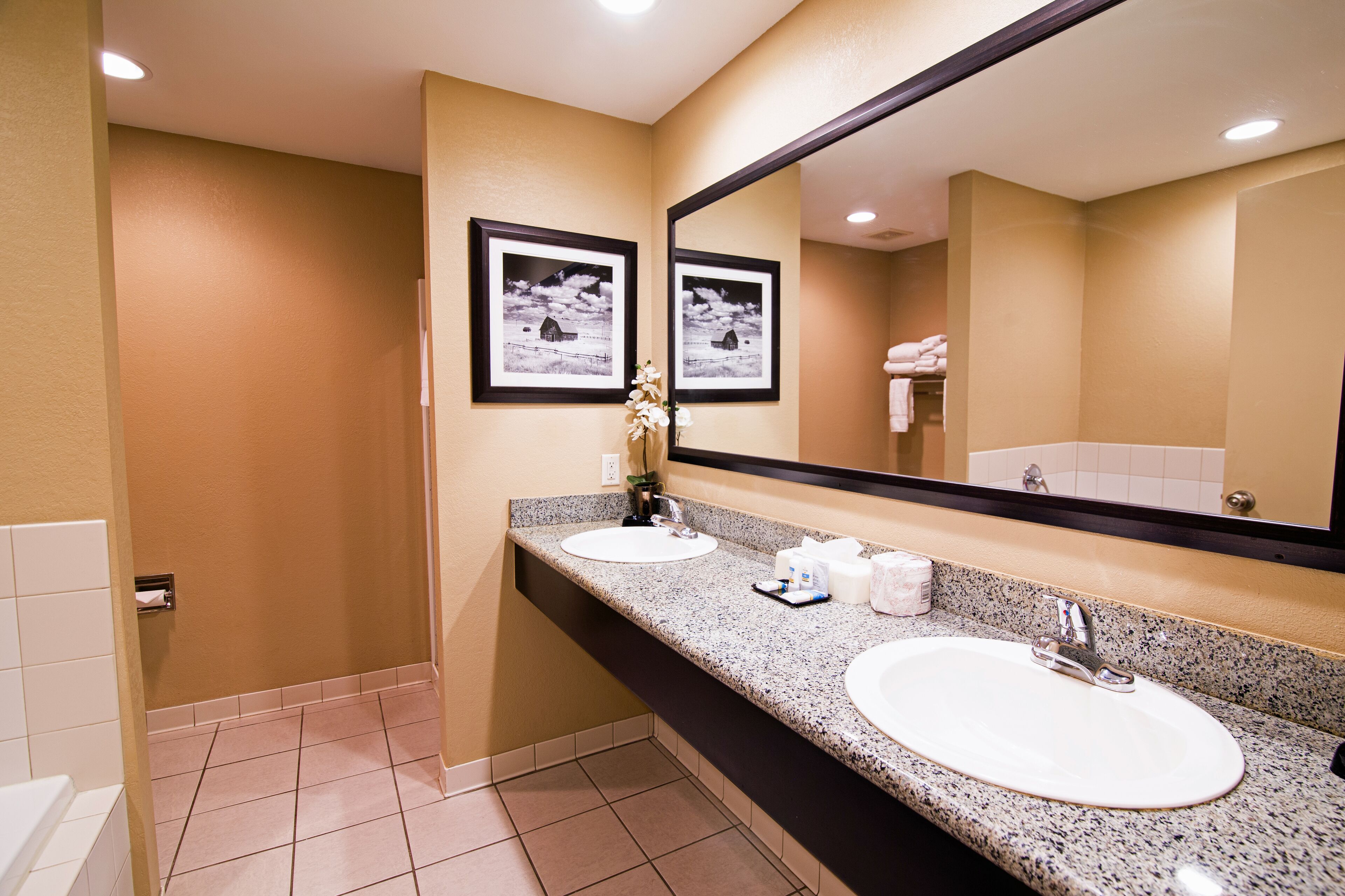 combined shower/bathtub, free toiletries, hair dryer, towels