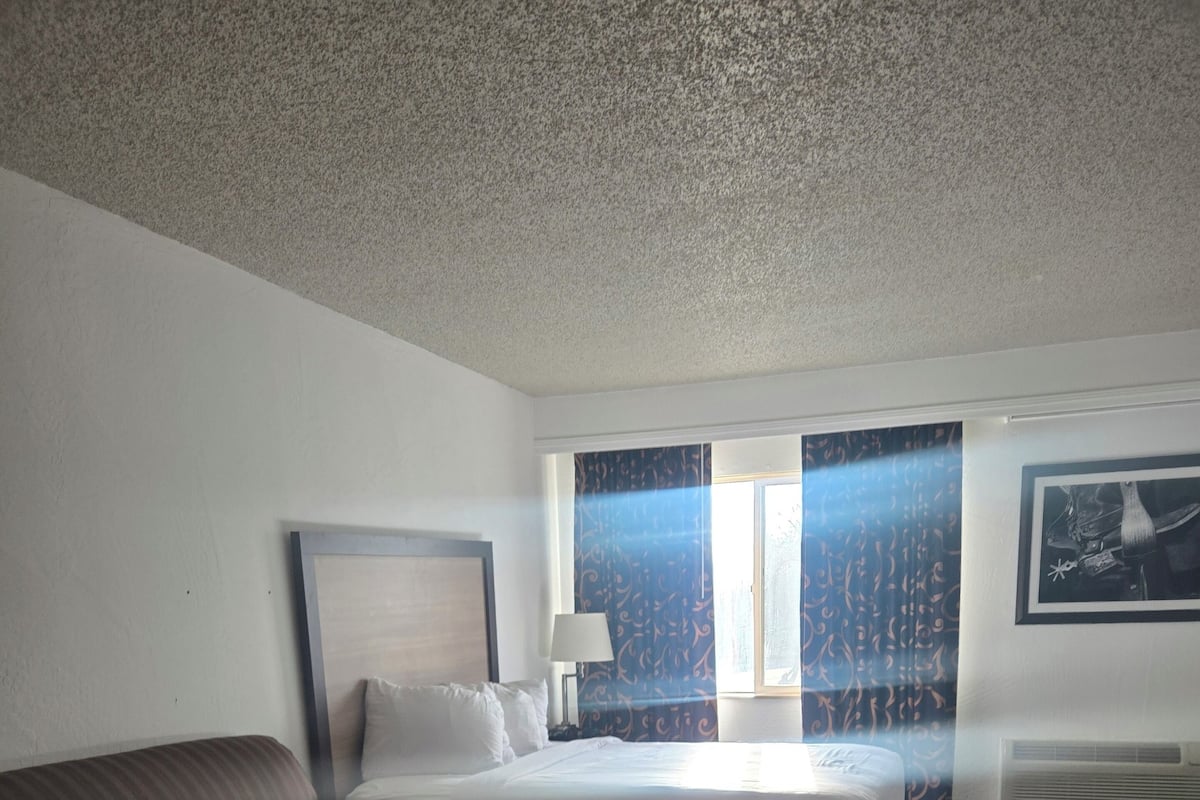 A hotel room with a bed, a sofa, a desk, and a window with curtains.