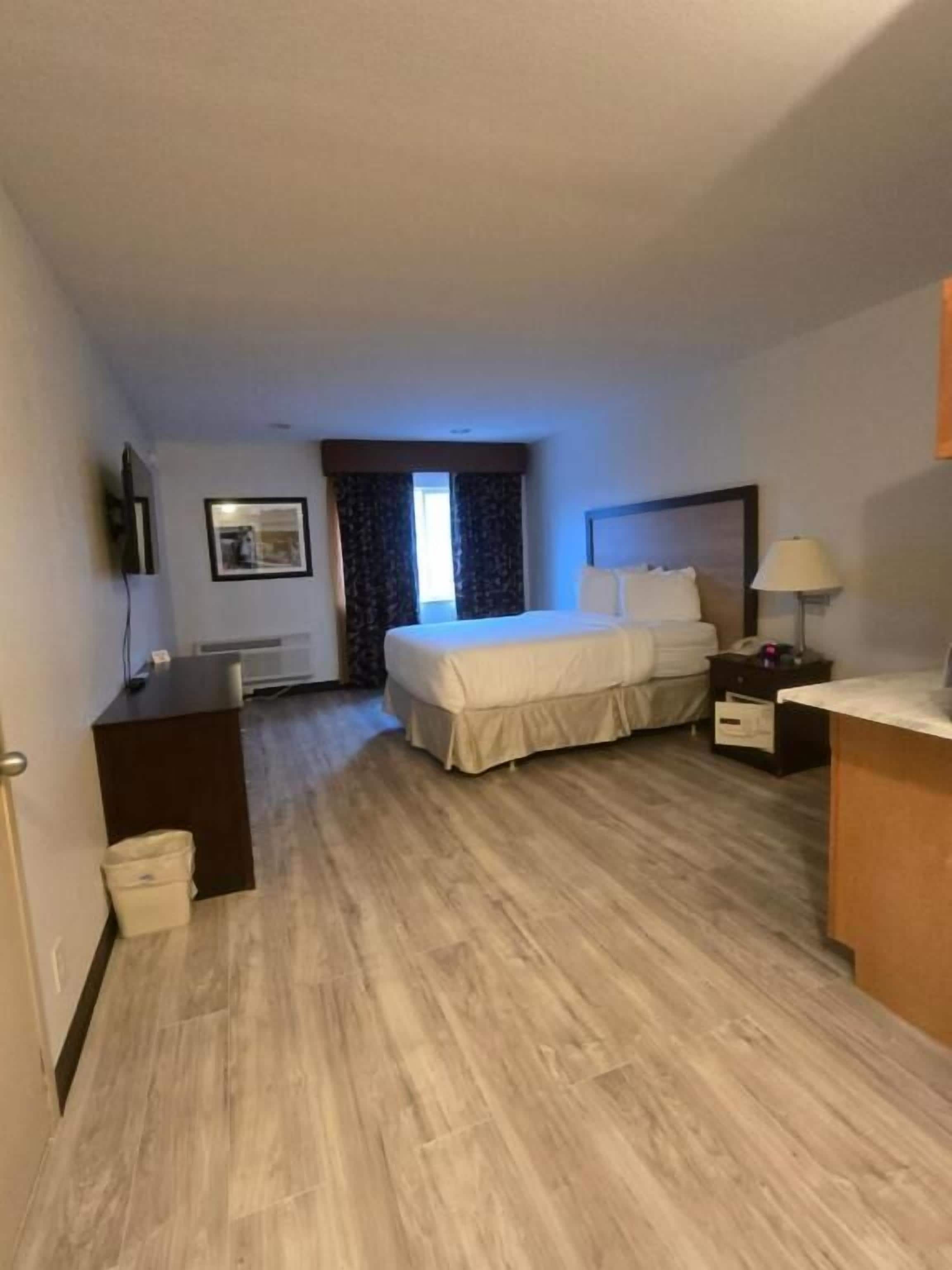 Comfort-Studio, 1 Queen-Bett