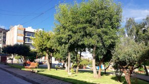 Una vorera asfaltada amb arbres i una banca.