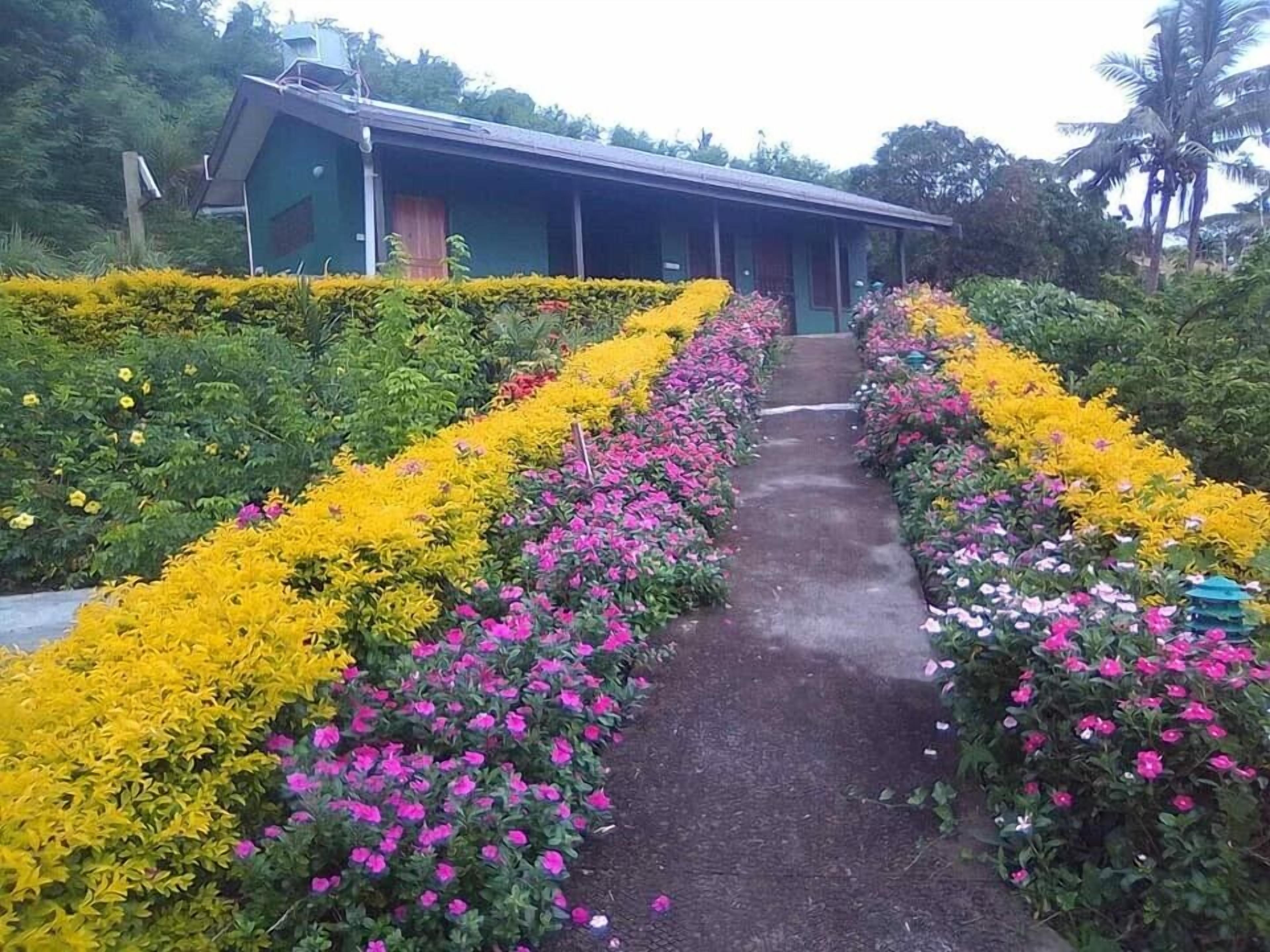 Un camino bordeado por coloridos macizos de flores que lleva a un edificio con techo inclinado y una puerta visible.