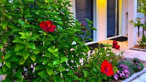 A building with a number 26 door, surrounded by lush green foliage and vibrant red flowers.