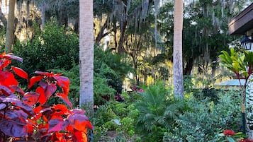A garden pathway with a stone walkway, surrounded by various plants and trees, including palm trees and a red-leafed plant.