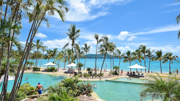 A pool area with palm trees, lounge chairs, and umbrellas. - Lagoon 202 on Hamilton Island (Whitsundays)