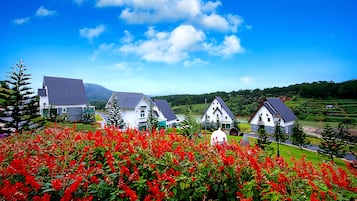 Pemandangan dari properti