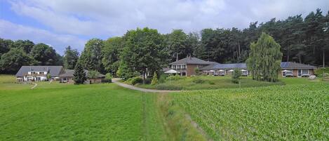 A residential area with houses, a pathway, and a cornfield.