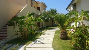 A pathway leading to a building with a staircase and a small garden with banana plants and a palm tree. - Hotel Club Torre Marino (Ricadi)