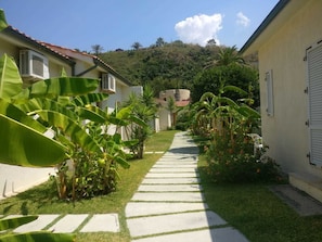 A pathway leading to a building with a tiled roof, surrounded by lush greenery and banana plants.