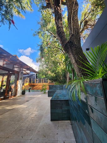 Exterior. Little Scotia Guest House