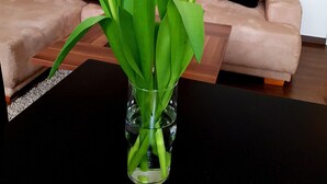 Olohuoneessa on beigenvärinen sohva, musta sohvapöytä ja maljakko, jossa on tulppaanikimppu.