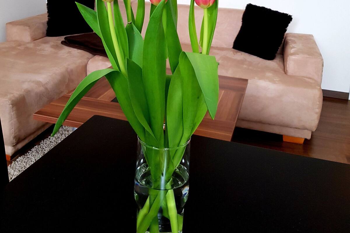 A living room with a beige sofa, a black coffee table, and a vase with tulips.