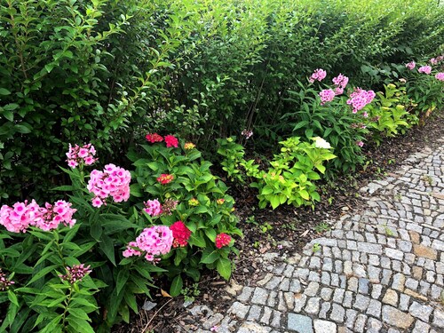 Apartment on the Elbe Ferry - Apartment for 2 - 3 People