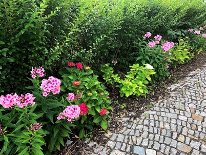 Apartment on the Elbe Ferry - Apartment for 2 - 3 People