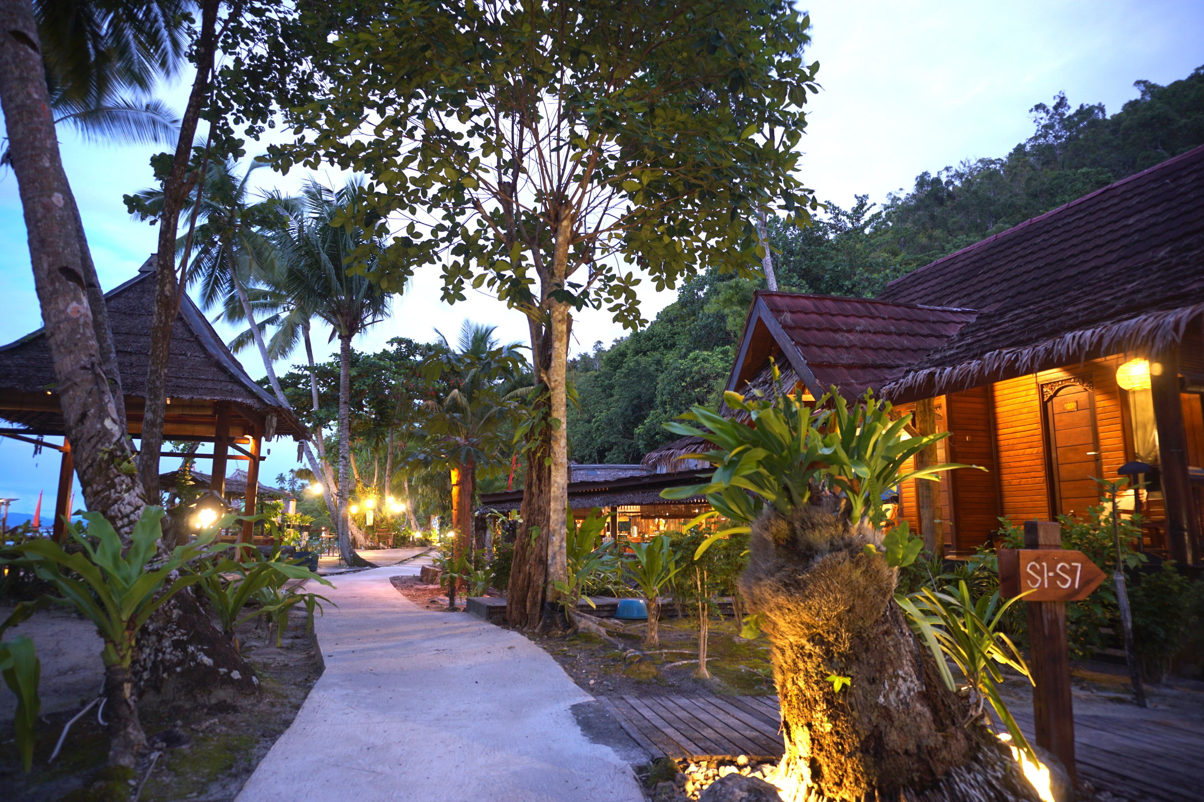 A pathway leading to a wooden building with a thatched roof, surrounded by tropical vegetation and palm trees.