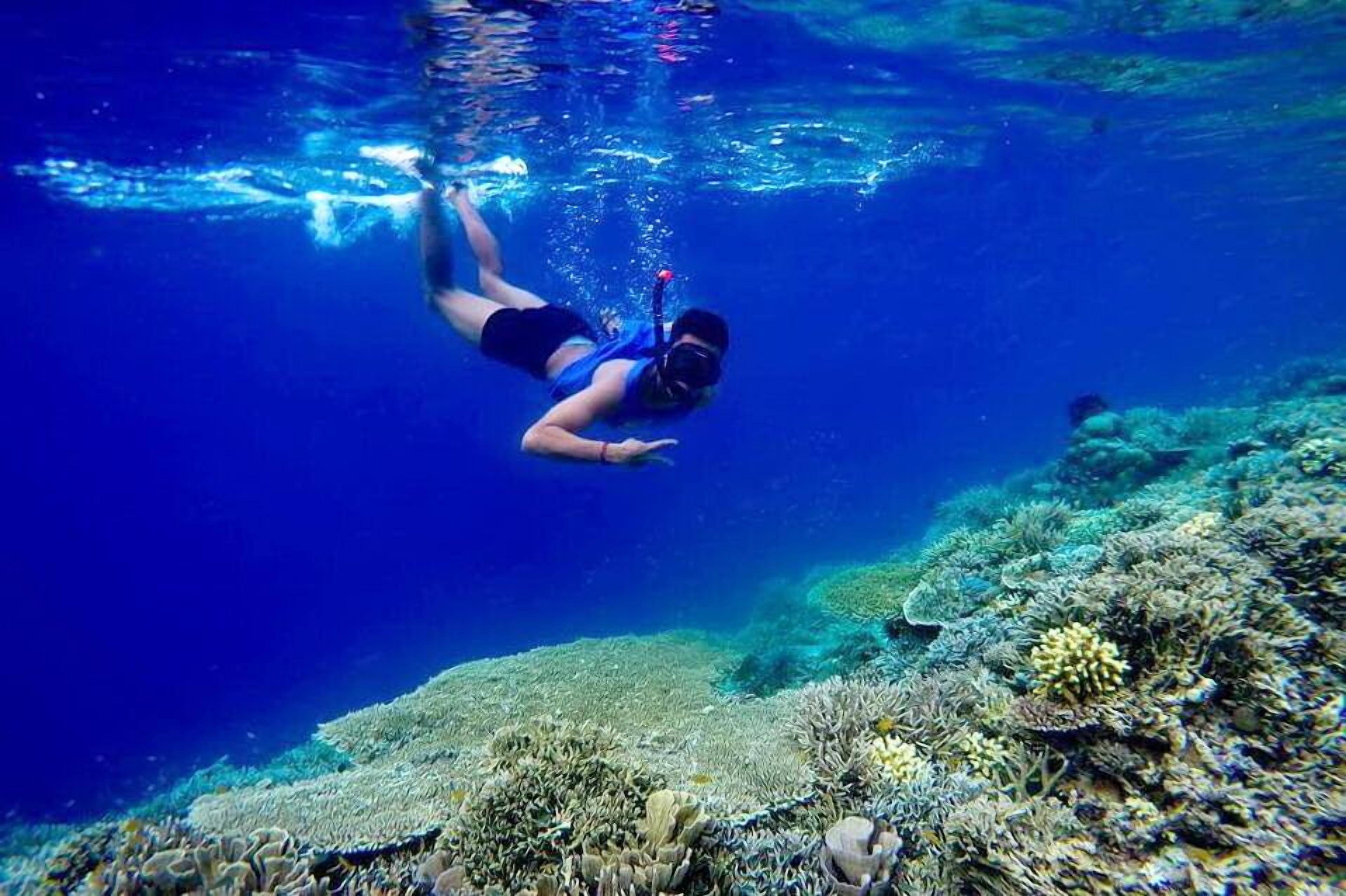 Una persona practica snorkel bajo el agua, con vista despejada del fondo marino y formaciones de coral.