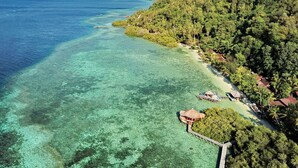 An aerial view of a coastal area with clear turquoise waters, a small beach, and a dense forested hillside. - Raja Ampat Dive Lodge (Mansuar Island)