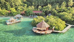 An overwater bungalow with a thatched roof, clear turquoise water, and lush greenery. - Raja Ampat Dive Lodge (Mansuar Island)