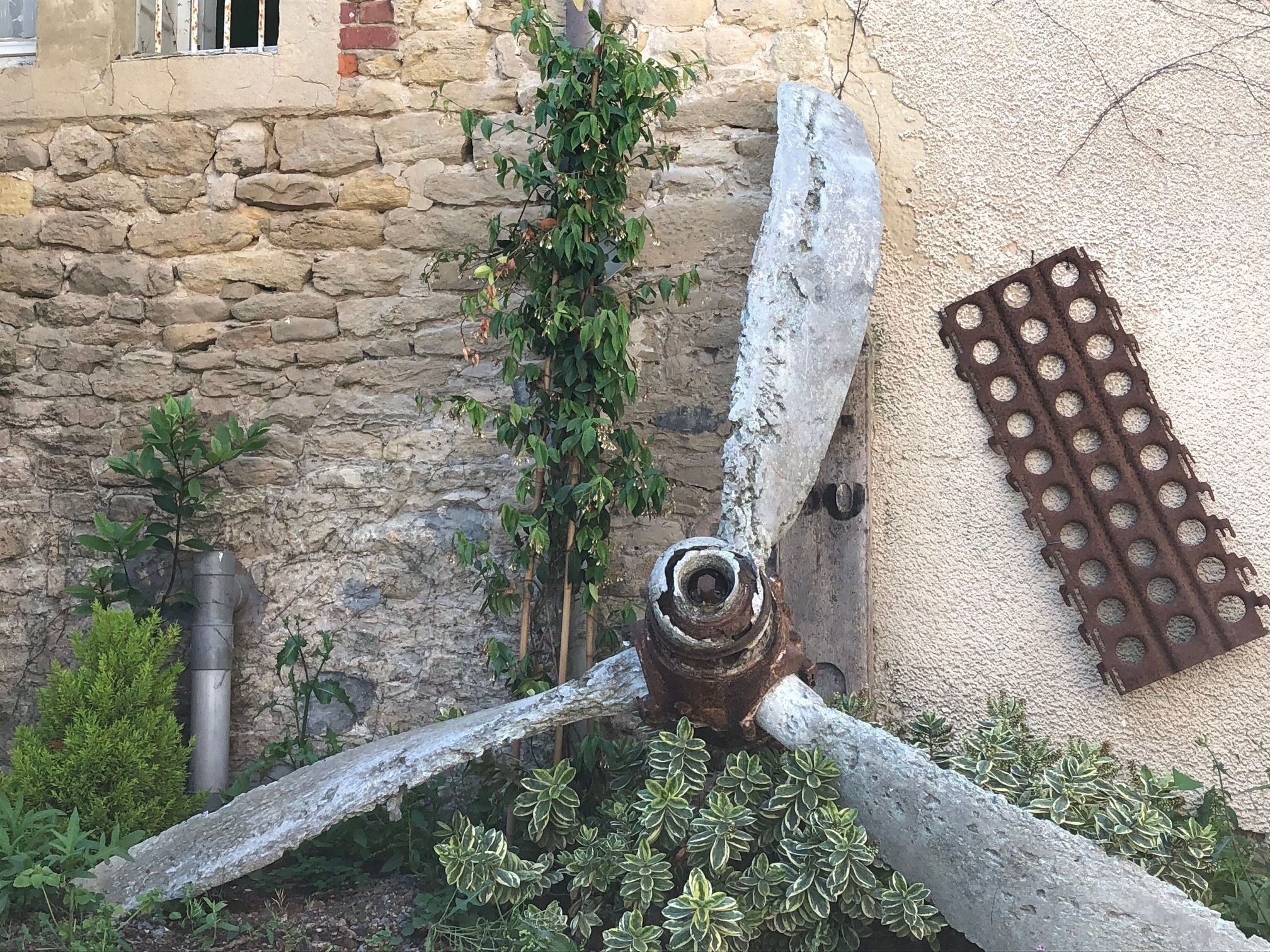 A rustic outdoor setting with a stone wall, a metal spiral staircase, and a variety of plants.