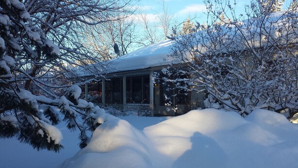 Ein Haus, umgeben von schneebedeckten Bäumen.