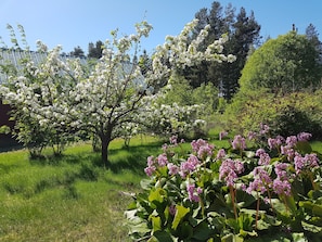 Garden - Villa Mia (Vidsel)