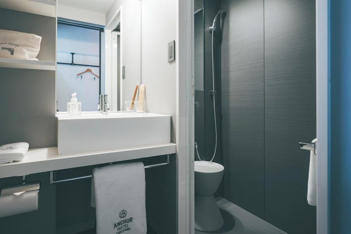 Free toiletries, hair dryer, slippers, electronic bidet