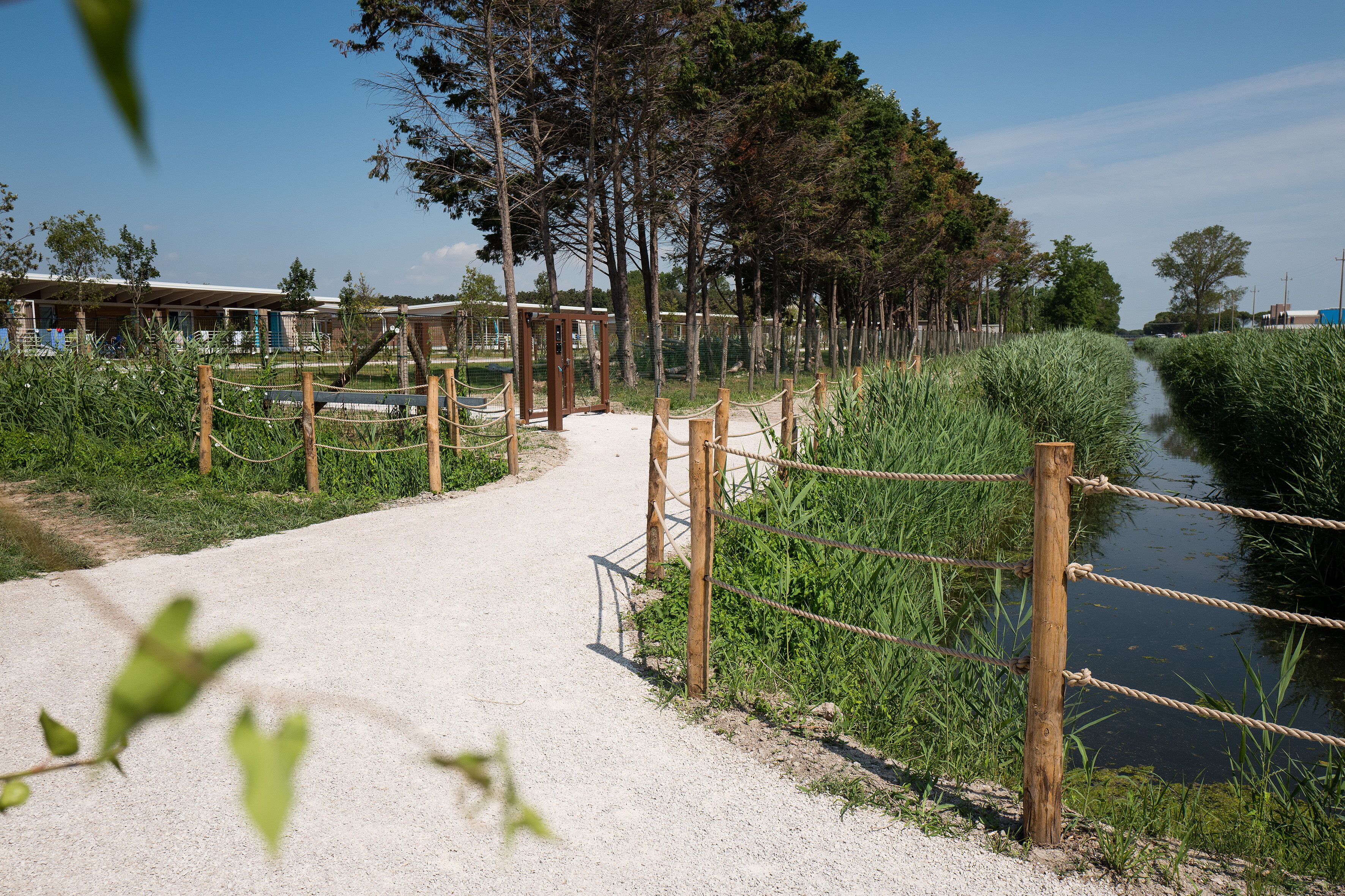 A pathway leading to a wooden structure, surrounded by tall grass and trees, with a body of water on one side.