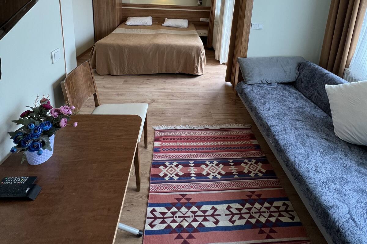 A hotel room with a bed, a sofa, a dining table, and a TV.