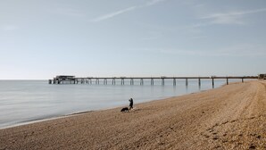 Beach - The Rose (Deal)