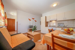 Apartment, 1 Doppelbett und Schlafsofa | Eigene Küche | Herdplatte, Kochgeschirr/Geschirr/Besteck