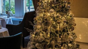 A Christmas tree with ornaments and lights in a room with a window, a table, and a chair. - Ness Walk (Inverness)