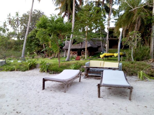 Plage privée, sable blanc, bar de plage