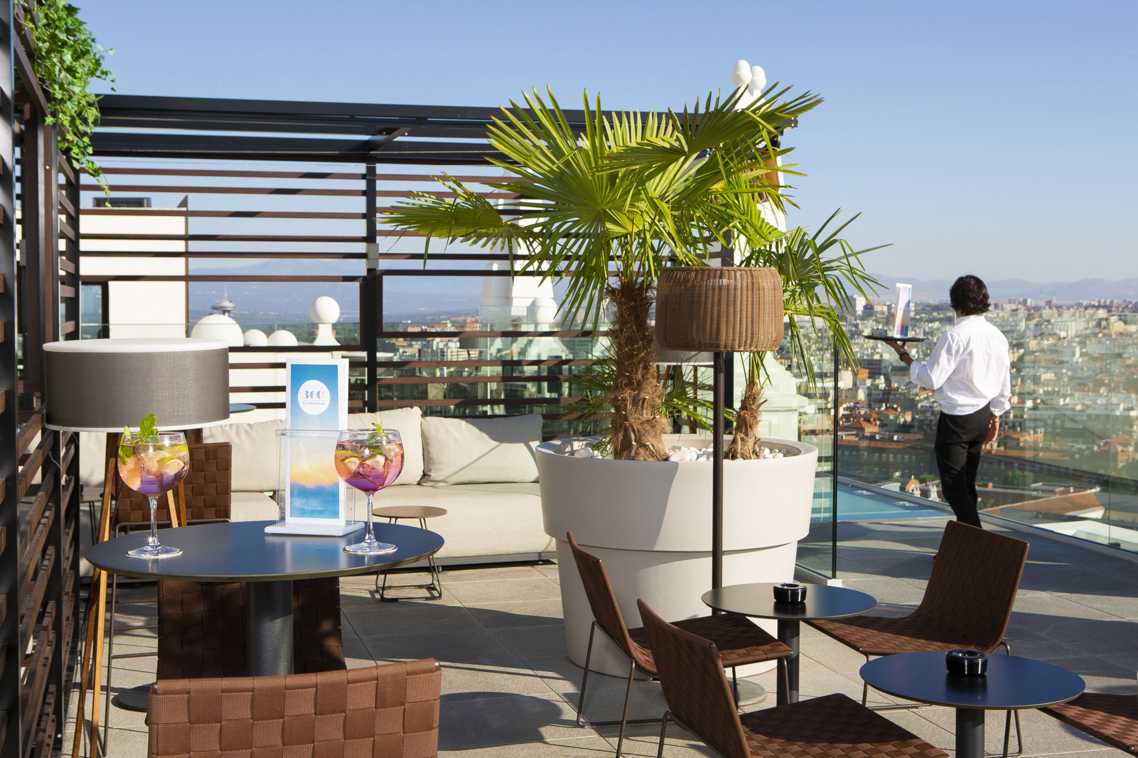 A rooftop terrace with outdoor seating, a large potted plant, and a city view.