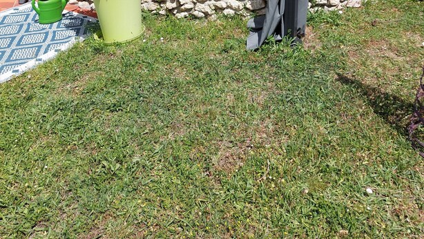 Un espace extérieur abrité, doté d’un mur en pierre, de plantes en pot et d’un arrosoir vert.