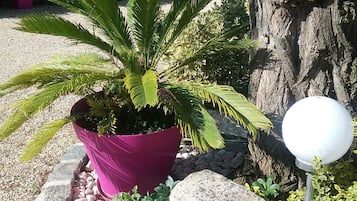 Jardin
