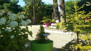 Un jardin avec un grand arbre, une petite plante en pot et des fleurs blanches.
