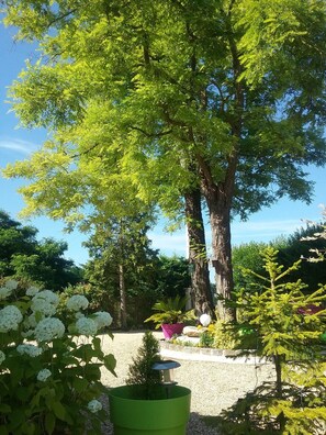 View from property - Les Acacias (Treuzy-Levelay)