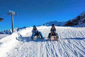 Sledging